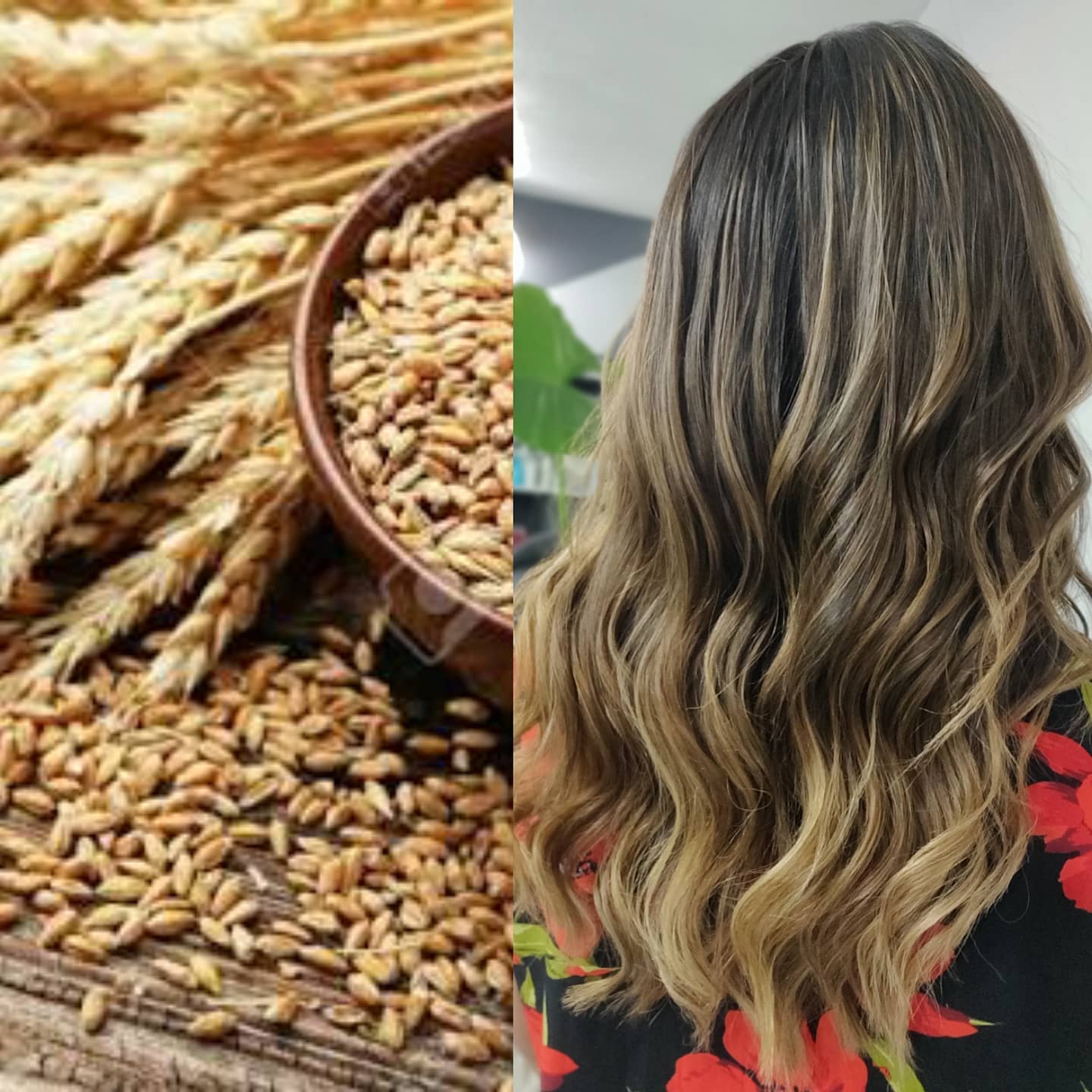 121116451_1030453444069179_6078337653274677325_n