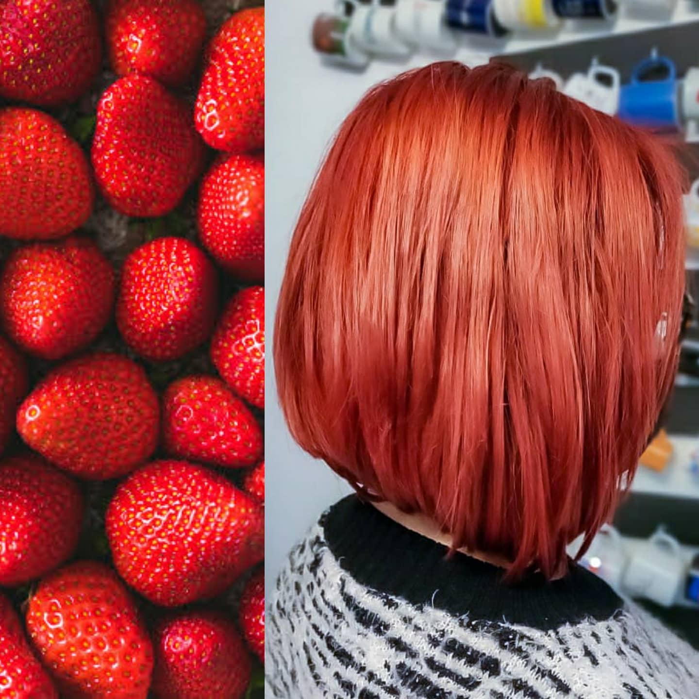 127103125_849272159158216_6742123868133579599_n