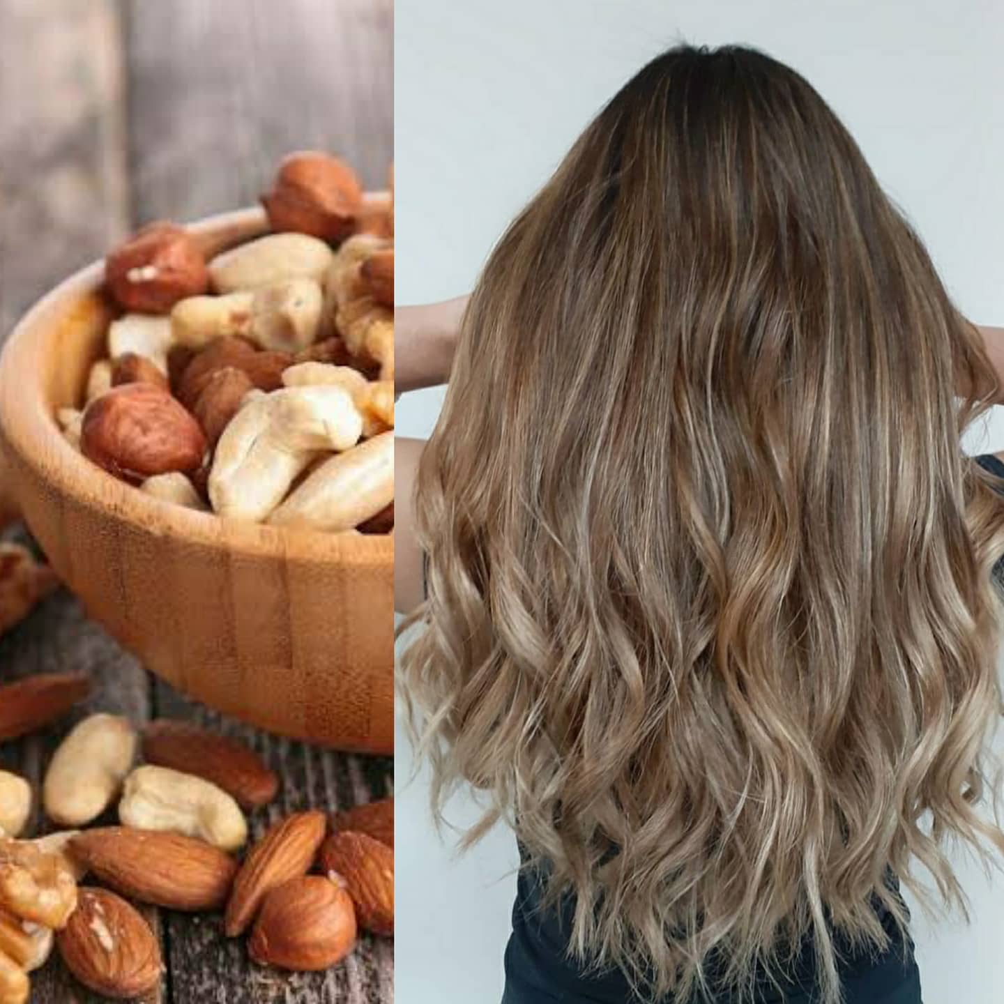 135081578_2916005455303119_1642503180387111733_n