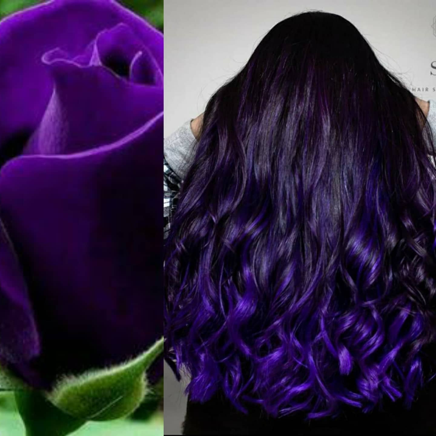 135502635_902599270555729_8466676056759431892_n